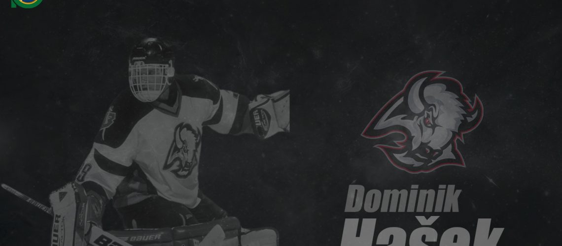 Dominik Hasek – Two in the Box